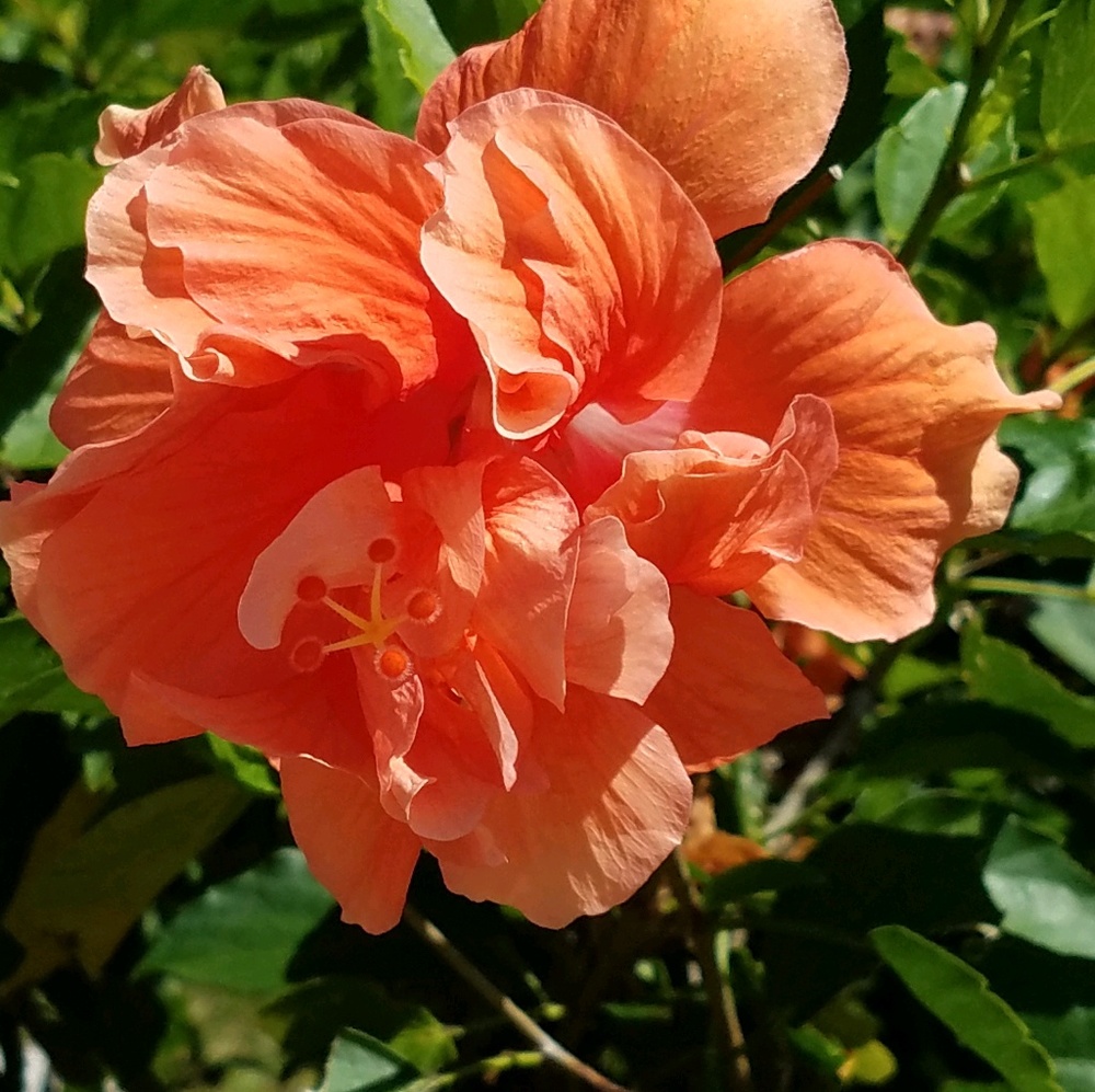 Meet your Posher, Ty